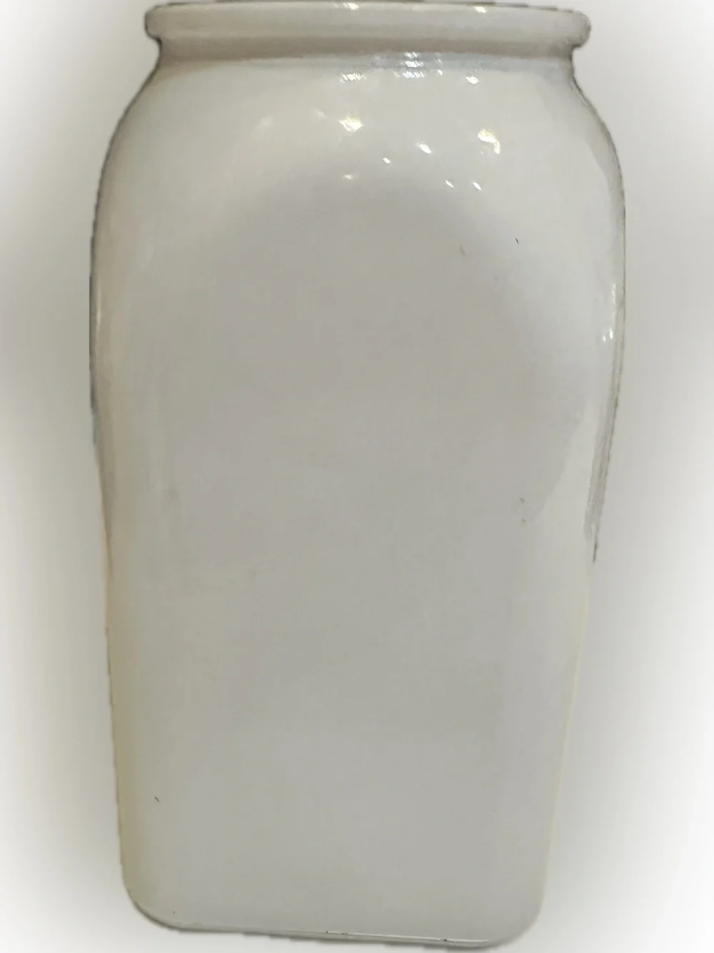 FARMHOUSE PAINTED GLASS VASE CONTAINER BLUEBONNET BOTTLE CERAMIC CROC VIB 7.5”